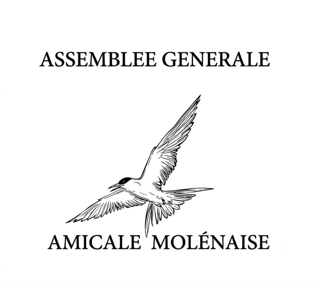 ASSEMBLEE GENERALE