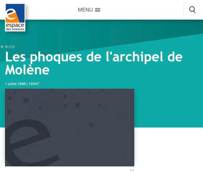 Les phoques de l'archipel de Molène